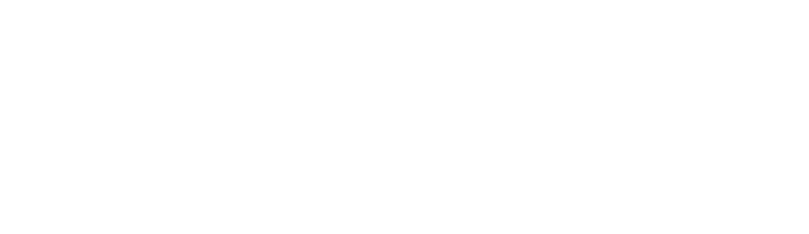 SEO Web Search logo
